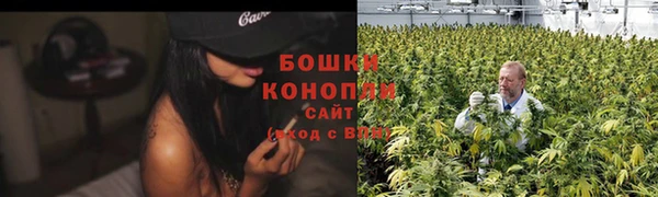 дурь Бородино
