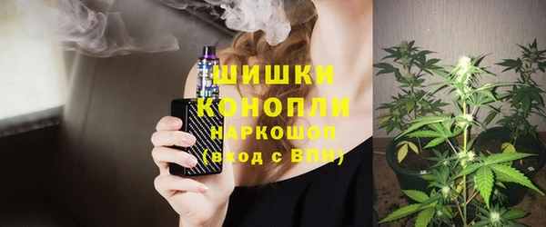 дурь Бородино