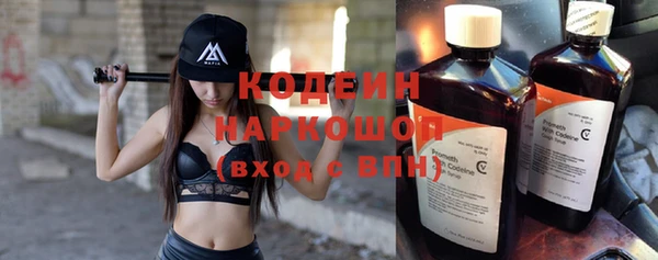дурь Бородино