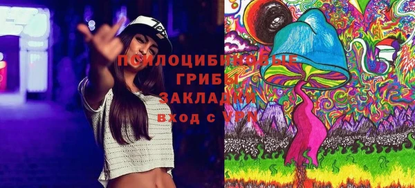дурь Бородино