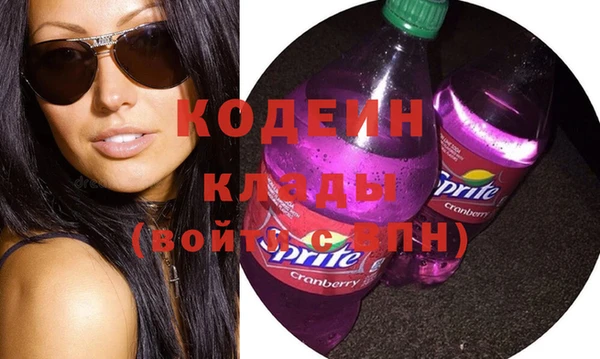 дурь Бородино