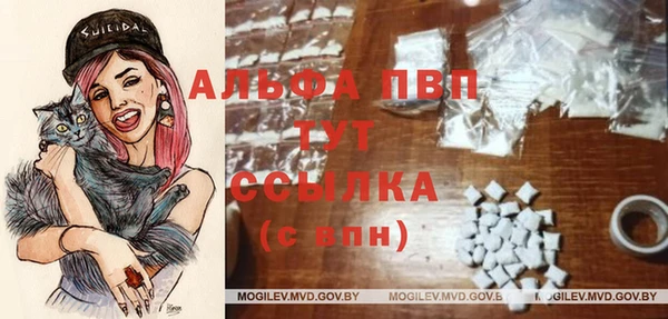 дурь Бородино
