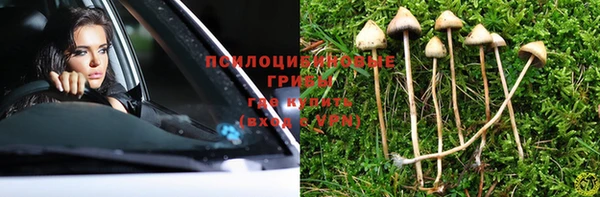 дурь Бородино
