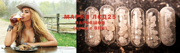 дурь Бородино