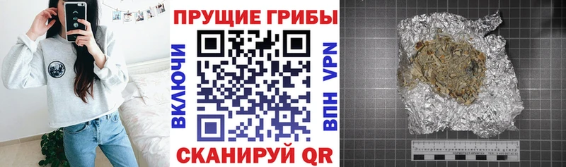 Галлюциногенные грибы ЛСД  наркотики  Высоцк 